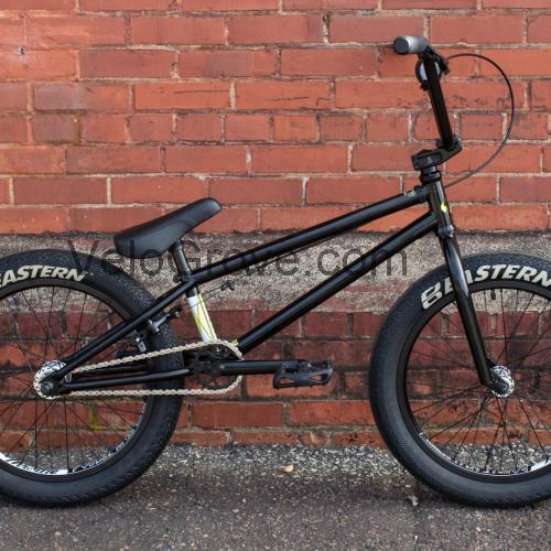 Eastern Nightwasp fiche technique et avis